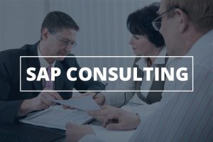 "Exiga's SAP Consulting Services - Experienced consultants ensuring seamless SAP implementation, customization, and optimization